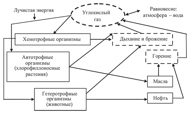 Схема круговорота углерода в водной и наземной экосистемах перечислите названия входящих в состав