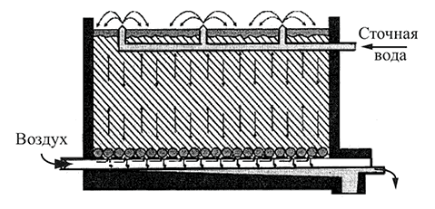 Биофильтры для очистки сточных вод схема. Капельный биофильтр схема. Капельные биофильтры для очистки сточных вод. Биофильтры для очистки сточных вод схема. Капельный биофильтр.