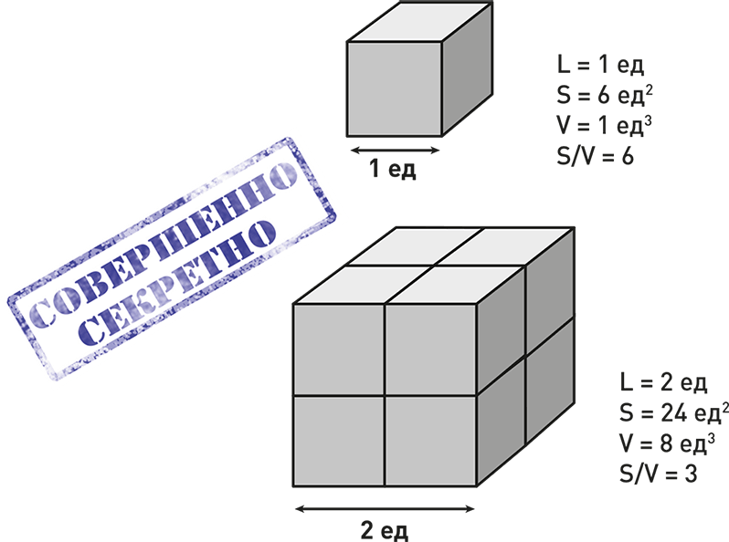 Габариты Куба. Куб Размеры. Размеры Куба. Габариты Куба наглядно.
