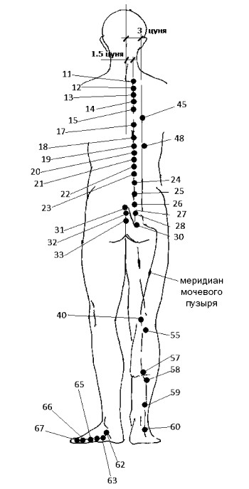 Точка а у женщин расположение рисунок на какой глубине