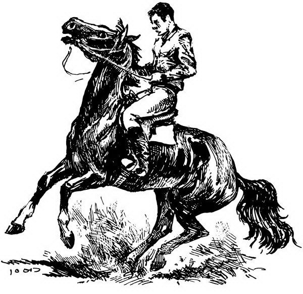 Произведение старая лошадь. Толстой Лев Николаевич Мильтон и Булька. Толстой Старая лошадь. Толстой Старая лошадь иллюстрации.