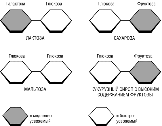 Медленная глюкоза. Типы патологических гликемических кривых. Медленный сахар это лактоза Глюкоза фруктоза. Гликемическая кривая мальтоза лактоза. Построение гликемических кривых.