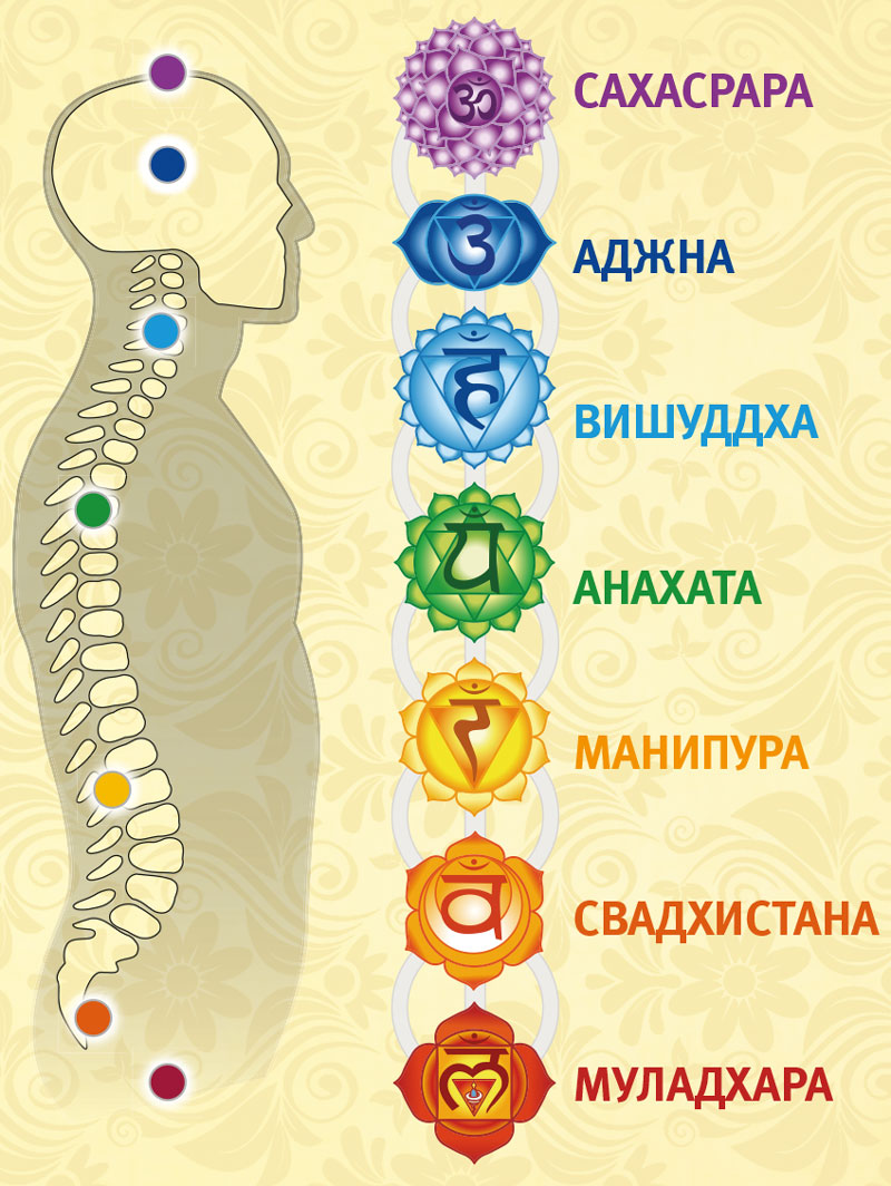 Картинка чакры человека с названиями