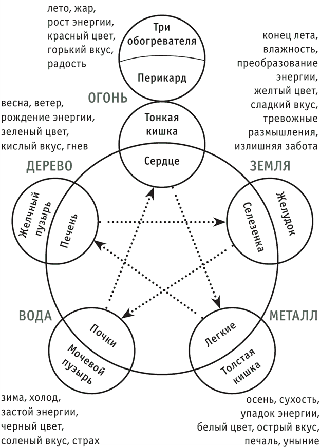 У-син теория 5 первоэлементов. Теория у син пяти элементов. Теория 5 элементов у-син. Круг у-син 5 элементов.