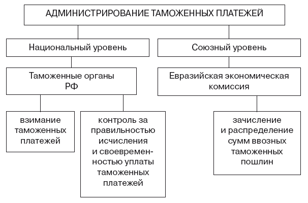 Виды таможенных пошлин схема