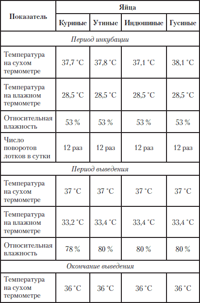 Схема инкубации индоутки