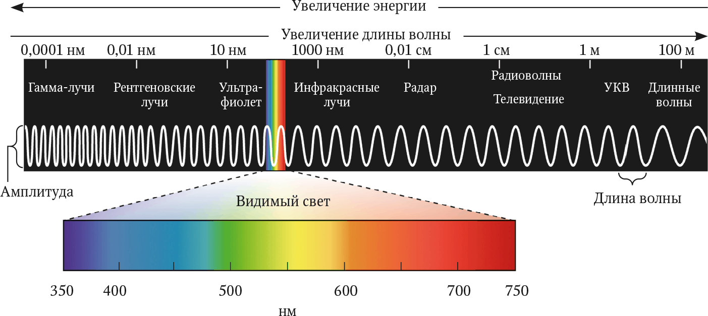 Радий какое излучение. Длины волн видимого спектра. Диапазон волн длин волн видимой части спектра. Электромагнитный спектр с длинами волн. Видимый спектр излучения радиации.