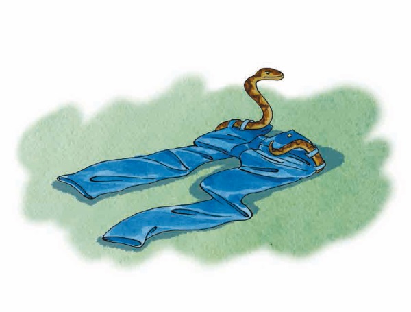 План рассказа гадюка юрий сотник