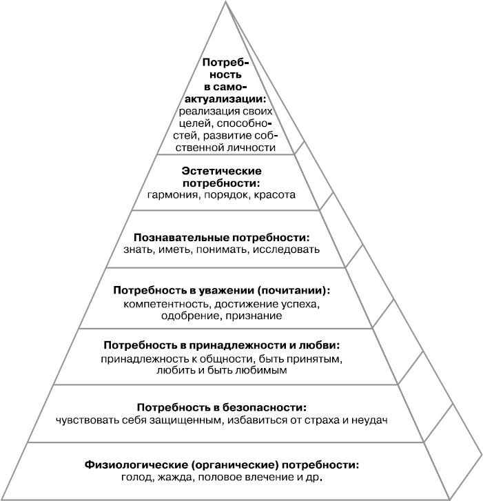 Потребности и интересы человека обществознание егэ план