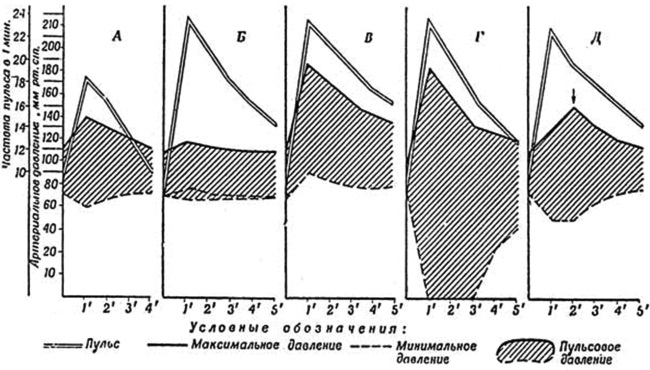 Реакция сердечно сосудистой системы. Типы реакции сердечно-сосудистой системы на физическую нагрузку. Гипертонический Тип реакции на физическую нагрузку. Нагрузка физических упражнений характеризуется. Чем характеризуется нагрузка физических упражнений.