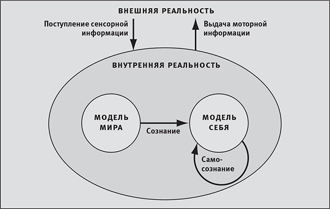 Карта реальности это