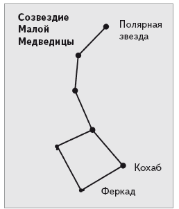 Нарисовать созвездие малой медведицы