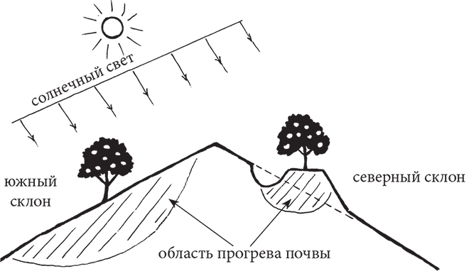 Карта экспозиции склонов