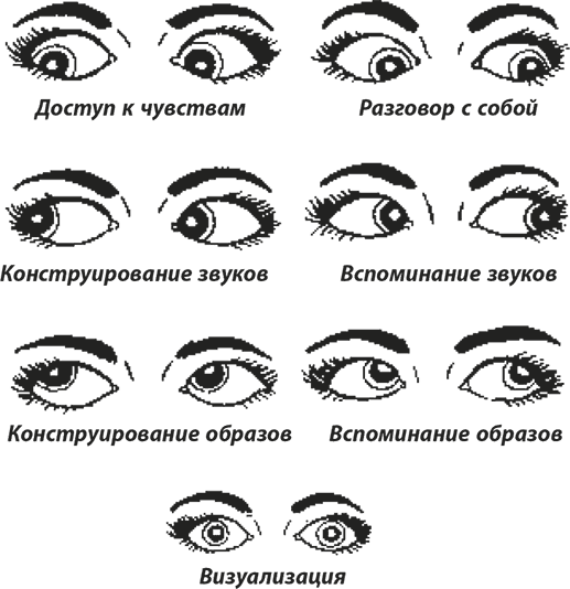 Язык глаз. Глаз направление взгляда. Направление движения глаз. Направление взгляда человека. Движение глаз психология.