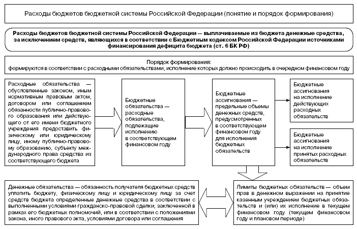 Бюджетные ассигнования схема финансовое право