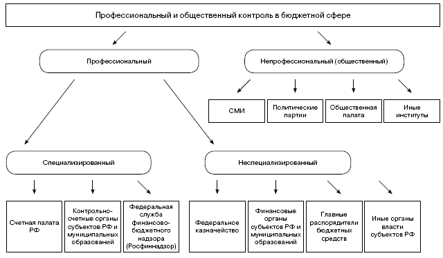 Схема бюджетный контроль