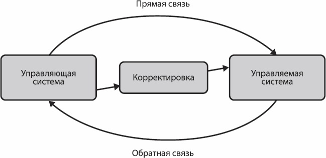 Прямая связь. Схема управления тренировочным процессом. Схема управления совершенствования спортивного мастерства. Схема система управления спортивной подготовкой. Универсальная схема управления.