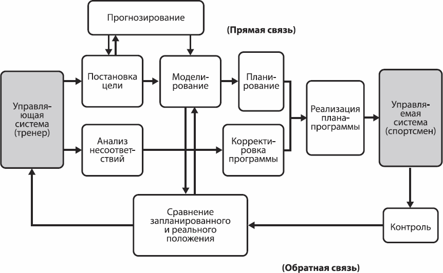 Схема компонентов системы спортивной подготовки