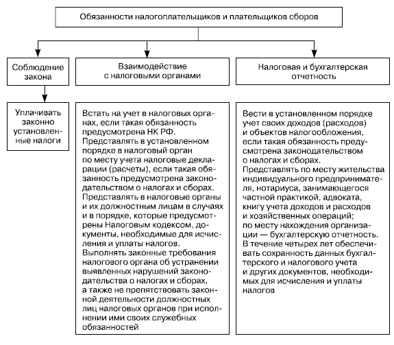 Физические лица в налоговом праве схема