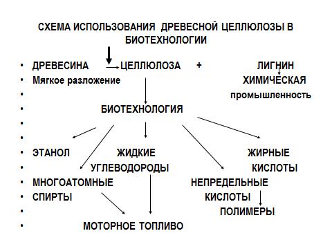 Схема применения целлюлозы