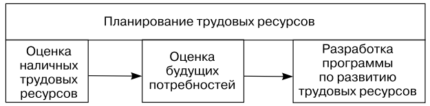 Трудовые ресурсы проекта включают