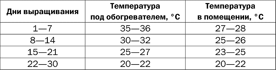 Температура в брудере для перепелов таблица. Световой и температурный режим для перепелов таблица. Таблица температуры в брудере для перепелят. Температурный режим в брудере для перепелят таблица.