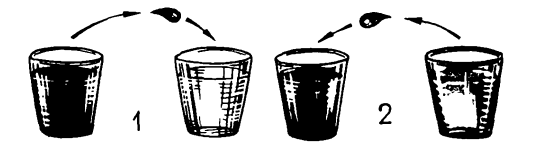В четыре одинаковых стакана