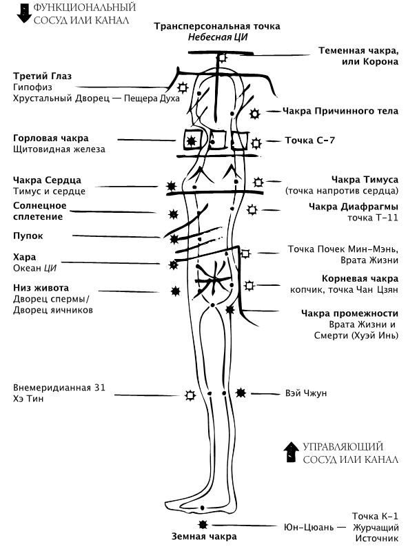 Точка хара. Чакра тимуса расположение. Точка врата жизни. Точка Хара на теле человека.