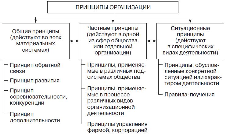 Теория рисунка основные принципы и понятия