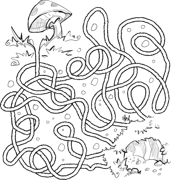 Маргалит. Тайна лабиринта. Лабиринт тайн игра. Книга аст тайна лабиринта. Лабиринт с секретом.