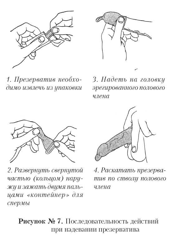 Половой акт на схеме