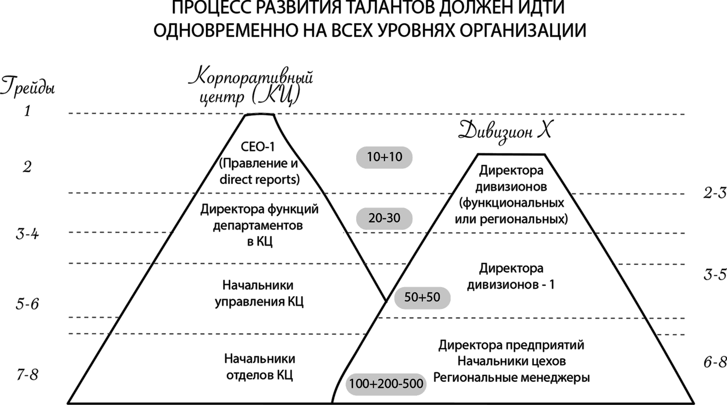 Уровни развития процессов. CEO уровни. Уровни менеджмента. Программа развития талантов. Уровни должности в организации CEO.