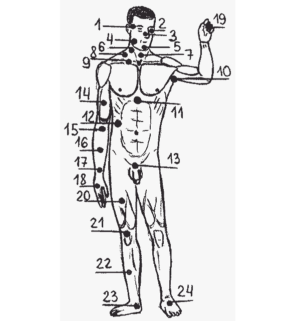 Различные точки тела. Точки человека. Болевые точки на туловище. 6 Точка на теле человека. Где у человека точки.
