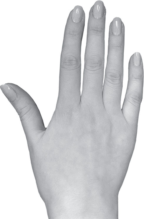 О чем говорит вид рук и пальцев человека