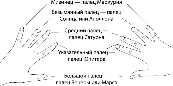 Места пальчика. Расположение пальцев на руке название. Значение каждого пальца на руке. Кольцы на руках значение. Обозначения на пальцах руки.