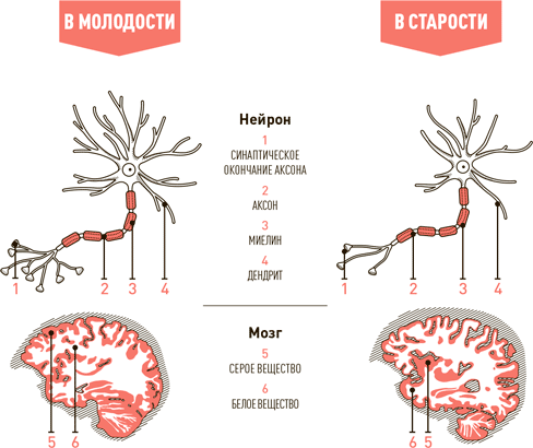 Проект better man pdf