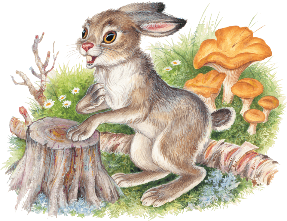 Ушинский белка и волк. Заяц сказочный. Заяц рисунок. Зайчик иллюстрация.