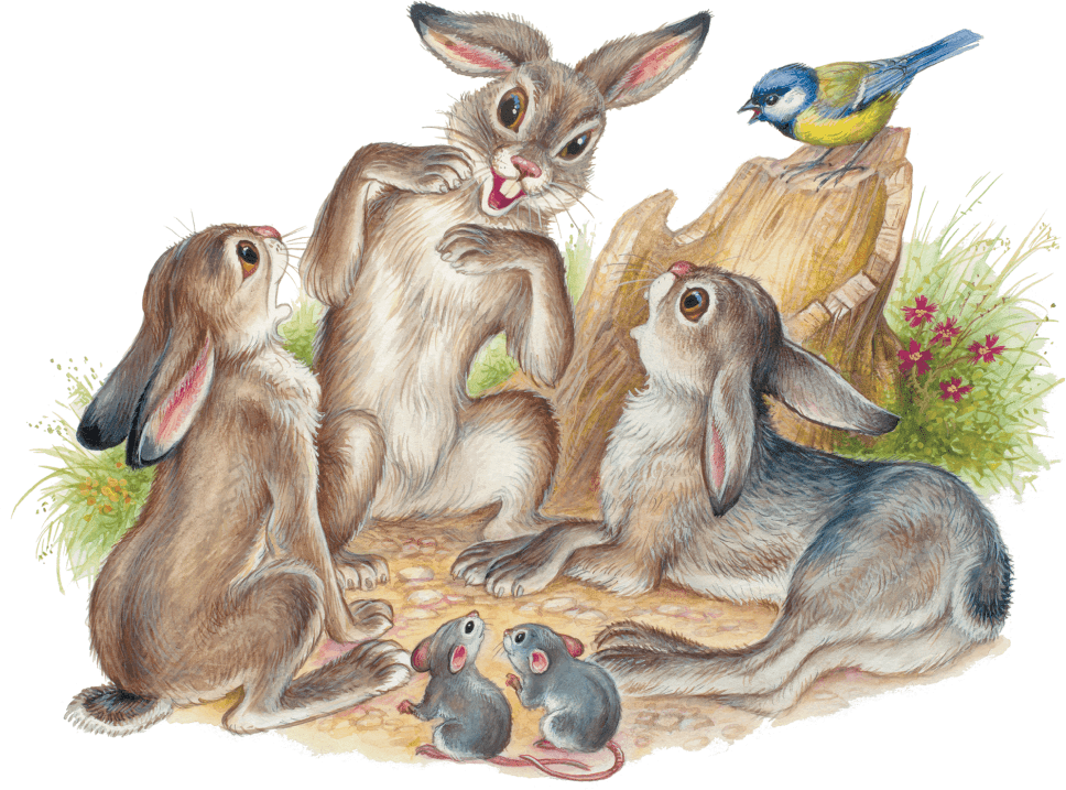 Рассказ про зайчонка. Заяц картина. Зайчиха с зайчонком. Заяц сказочный.