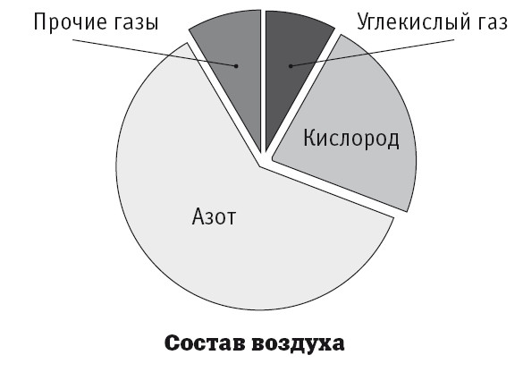 Состав воздуха в виде диаграммы