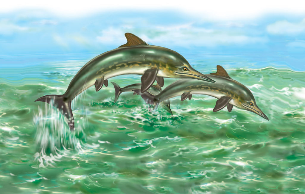 Ихтиозавр первичноводное. Ихтиозавры Юрского периода. Эволюция ихтиозавров. Живорождение ихтиозавра. Дельфинообразные ихтиозавры Юрского периода.