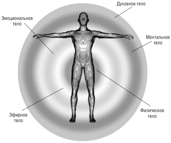 Физическое тело человека