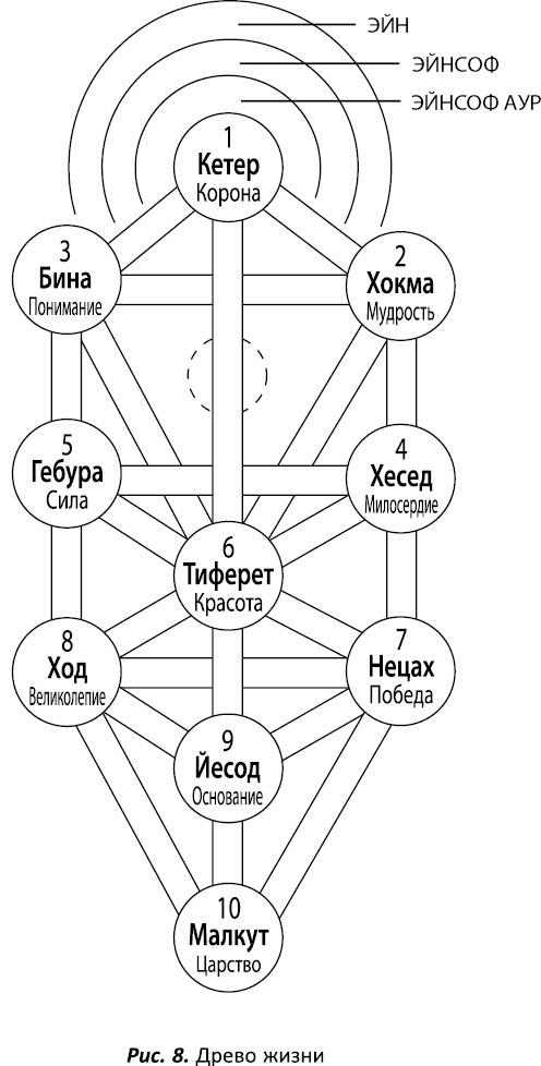 Схема древа жизни