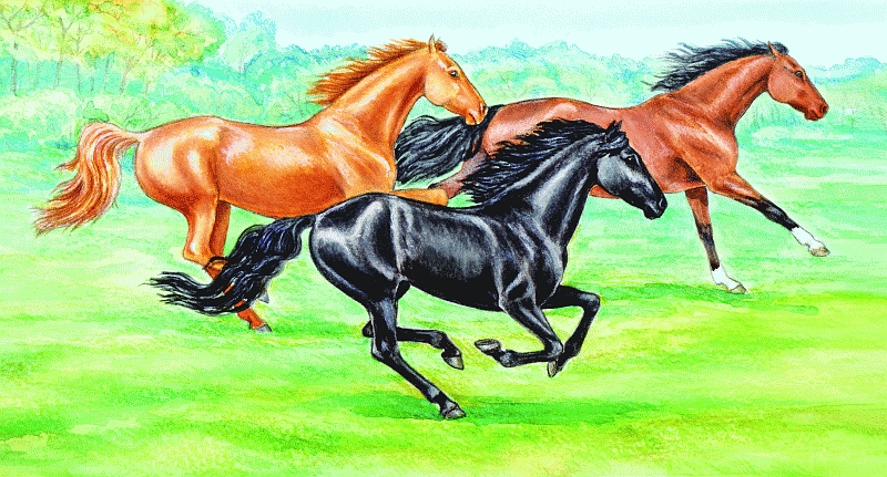 Топот лошадей звук. Трудовая лошадь. Труд лошади картинки. Конный топот. Цветная картинка для детей от топота копыт.