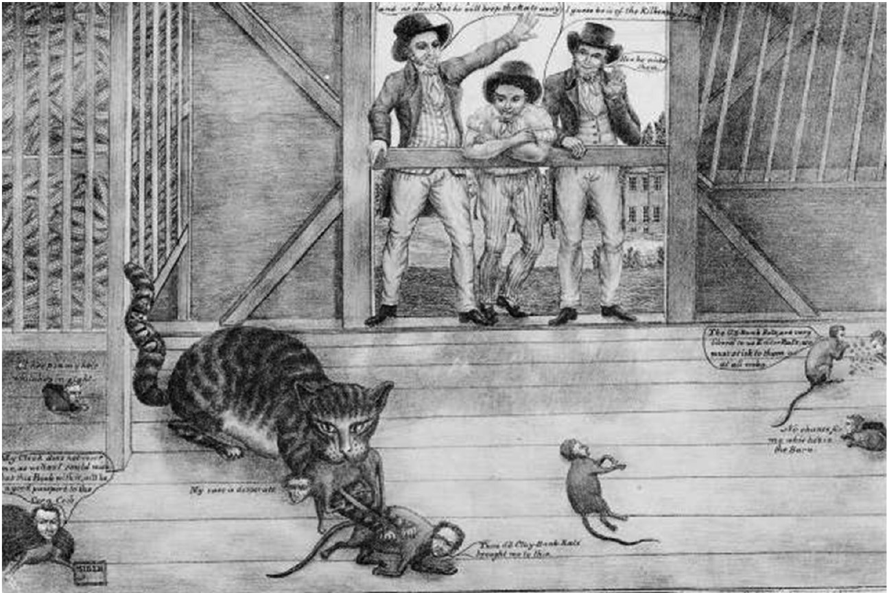 Прическа крысы мыши и кошки 19 века