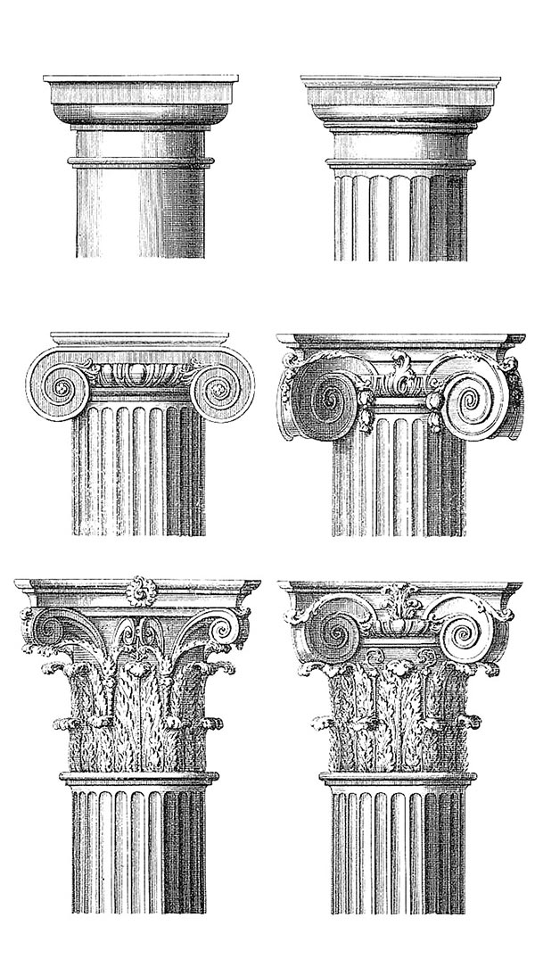 Колонна ионического ордера рисунок