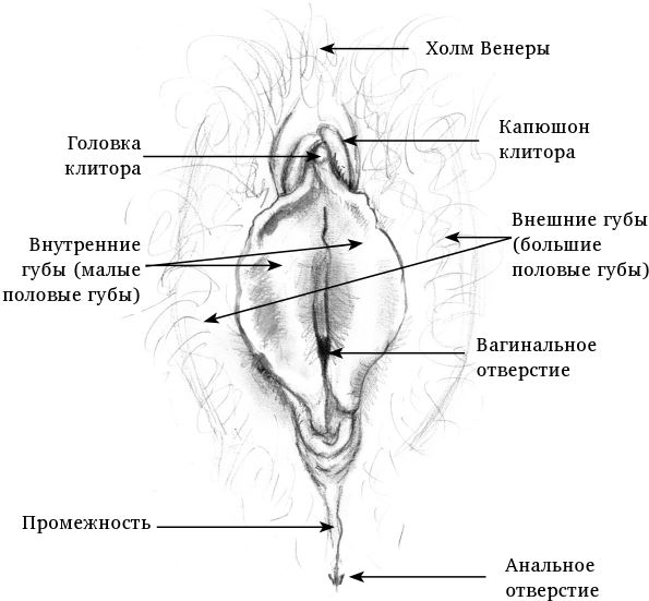 Клиторопластика