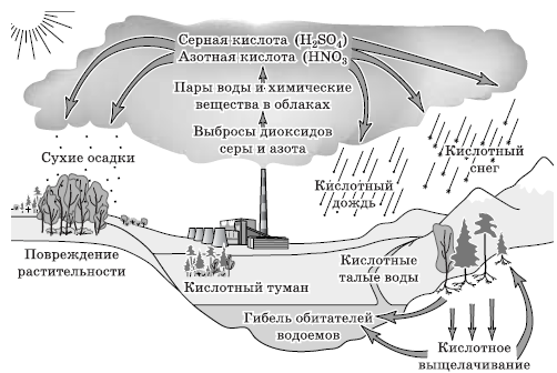 Схема образования дождя