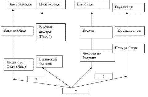 Схема полифилии вейденрейха