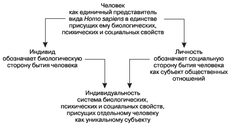 Человек в психологии схема