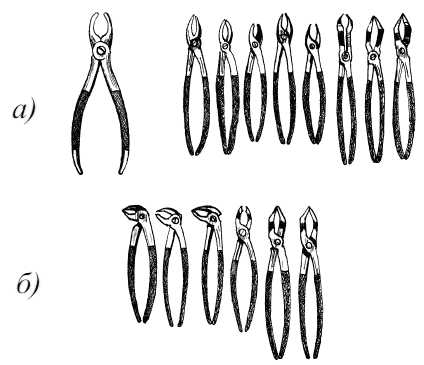 Щипцы для удаления зубов нижней челюсти с названиями и фото